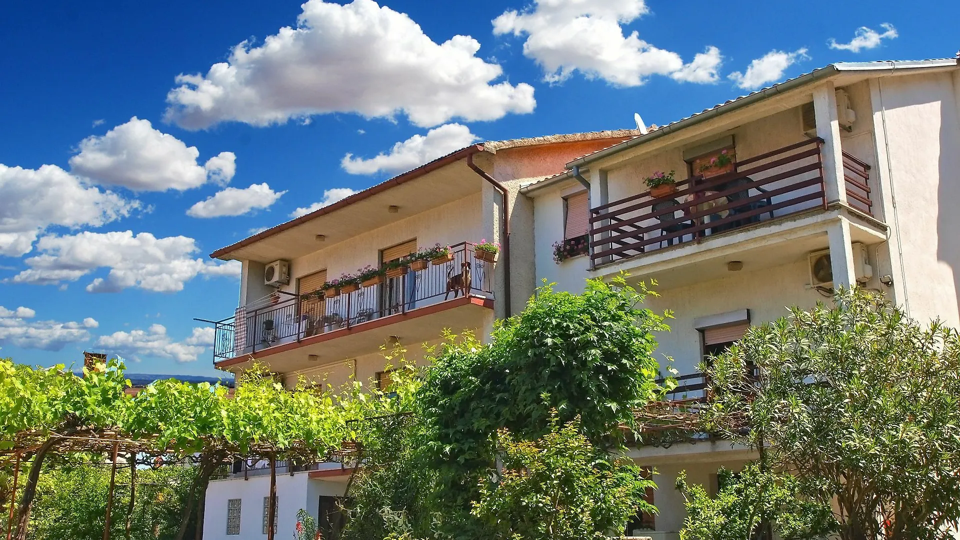 Apartments Davor 996 Pula